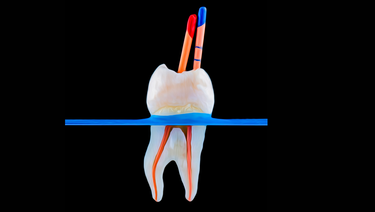 https://alphadentalcare.lk/wp-content/uploads/2024/12/7.png